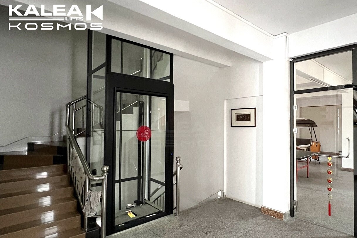 卡尼亚家用电梯X80广州案例2024