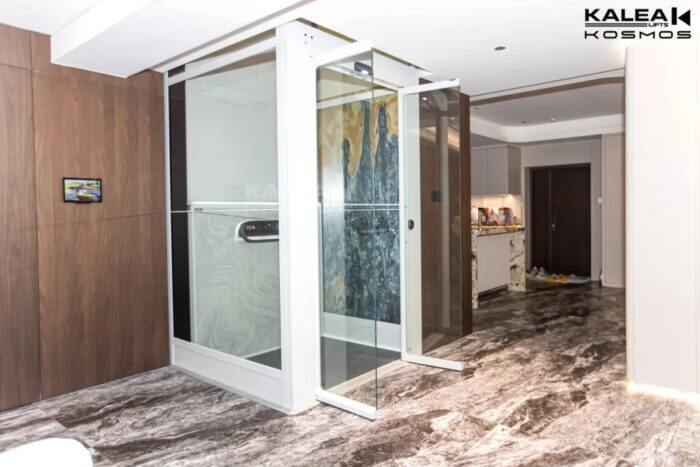 KALEA卡尼亚「南京案例」 | 家有萌宠，X50精致版Pro更添温馨